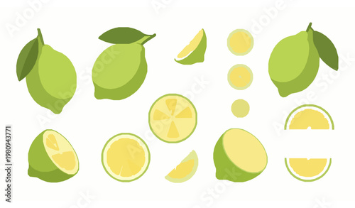 Fresh green lemon vector set with whole fruit slices and leaves in modern flat design style