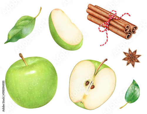 Green apples and cinnamon sticks watercolor hand drawn illustration for beautiful botanical fruit design.