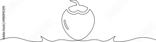 A minimalist line drawing of a simple apple sitting on wavy lines