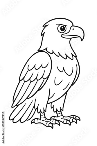 A sharp eagle vector illustration featuring a powerful raptor head on a white background for wildlife and nature design