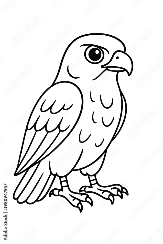 Fototapeta premium A detailed vector illustration of a wild eagle predator with sharp beaks 