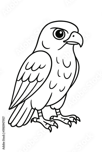 A detailed vector illustration of  a wild eagle predator with sharp beaks 