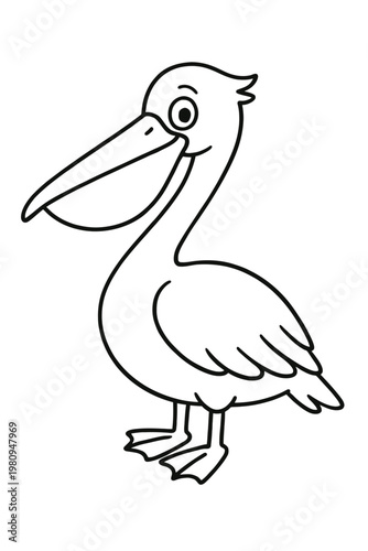 Isolated vector illustration of a white pelican bird with a large beakk in the wild nature