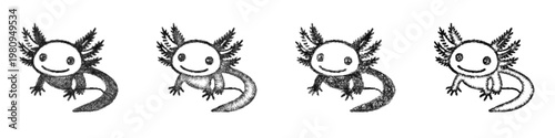 Sketch Axolotl icon design set