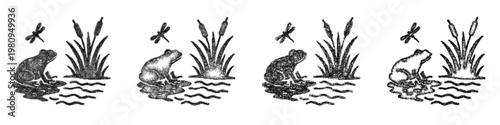 Sketch Wetland Amphibian icon design set
