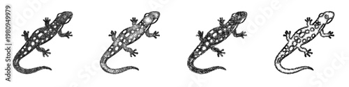 Sketch Forest Salamander icon design set