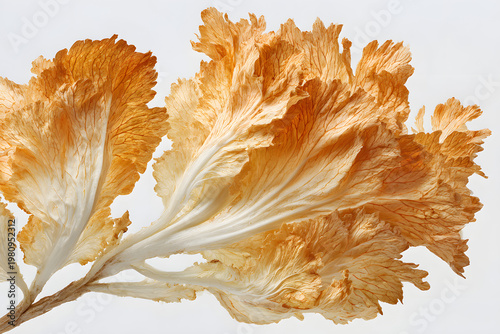 golden autumn leaves