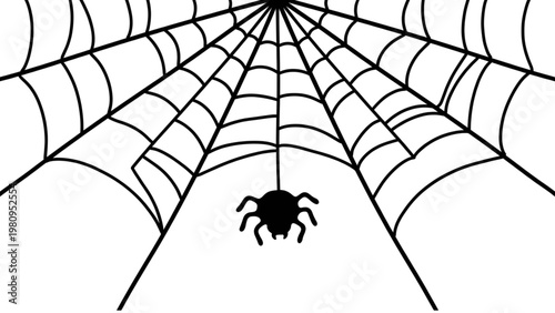 Black Spider Hanging from Web on White Background