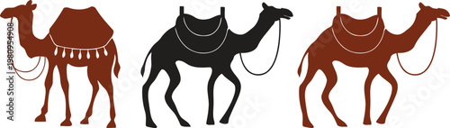Illustrative depiction of three camels in varying colors and with saddles showcasing desert transportation and animal anatomy