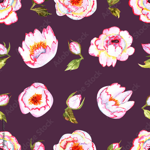 A watercolor floral pattern with beautiful peonies on a purple background. Handcrafted. An elegant design for fabric, wrapping paper, or wallpaper.