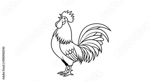 Traditional line art drawing of a rooster crowing at sunrise with its beak wide open and its tail feathers displayed.
