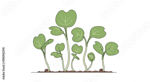 Hand drawn illustration of young green plant sprouts growing from dark soil representing growth and spring gardening concepts.