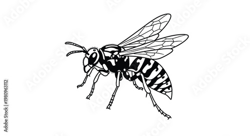 Detailed black and white illustration of a wasp or hornet showcasing its wings, segmented body, and a sharp stinger.