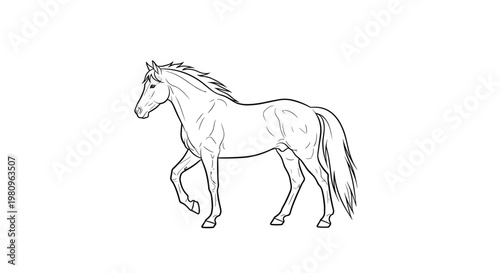 Elegant line art drawing of a horse walking in profile showcasing its mane, tail, and muscular build for nature art.