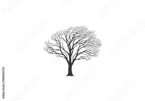 Bare Tree Silhouette with Intricate Branching Pattern.