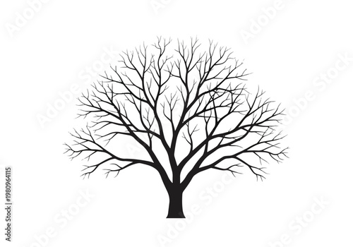 Billede på lærred Silhouette of a Bare Tree with Intricate Branches.