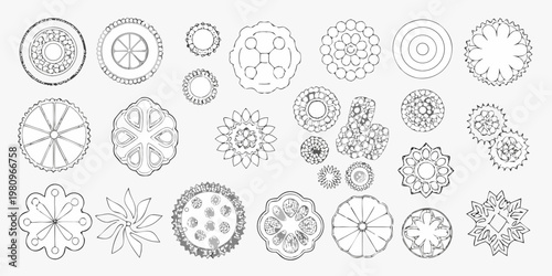 Variety of diatoms and radiolarians illustrated in a vintage scientific style