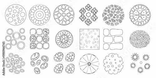 Vintage botanical illustrations of diatoms and microscopic organic forms