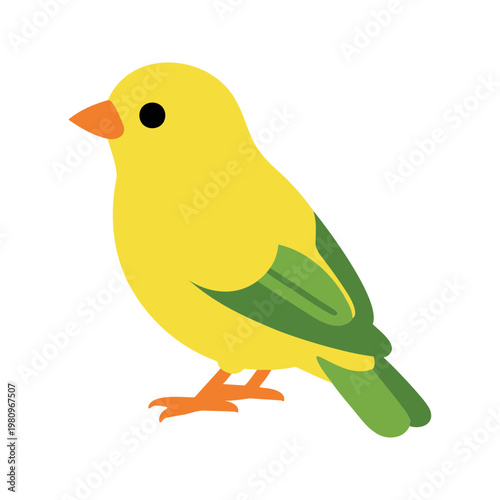 Cute canary bird illustration on a white background in cartoon style