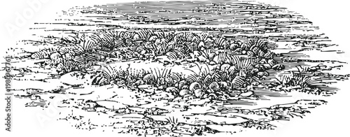 Ancient stone circle surrounded by grass and shrubbery with a textured rocky ground