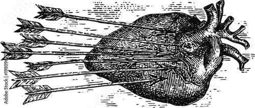 Vintage anatomical heart pierced by multiple arrows classic engraving medical illustration with detailed texture and shading