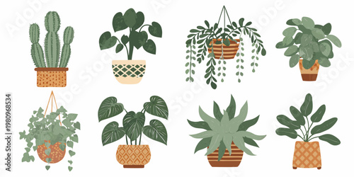 A collection of potted and hanging indoor plants in a flat style
