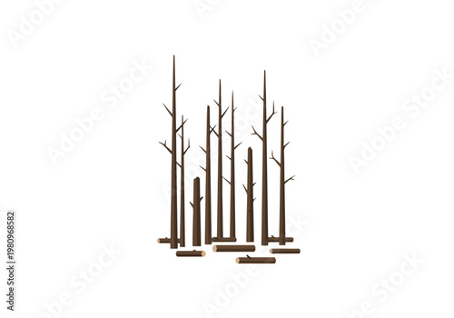 Group of Tall Bare Trees and Fallen Logs.
