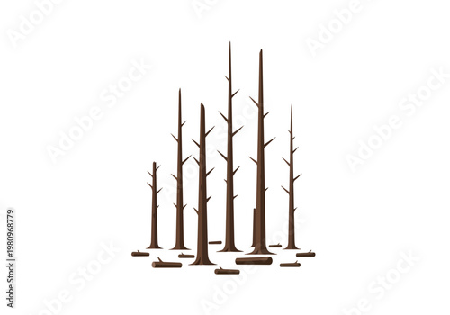 Group of Tall Bare Trees with Stumps.
