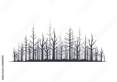 Silhouette of a dense forest of bare trees.