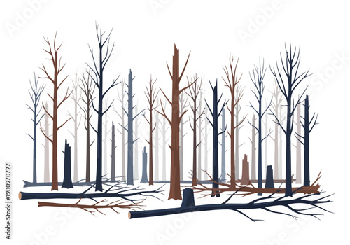 Barren Forest Landscape After Devastating Wildfire Destruction.