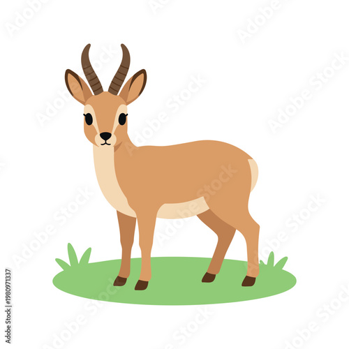 The klipspringer is a small antelope that lives in sub-Saharan Africa, and it is known for its ability to jump and climb with agility and grace.