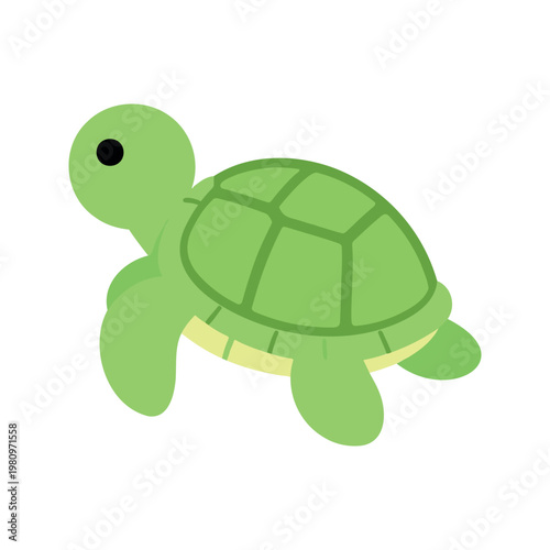 A sea turtle with a light green body and dark green shell swims with small flippers in an illustrative style on a white background.