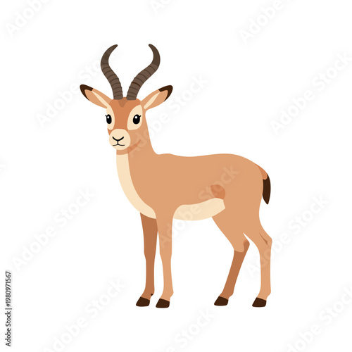 The slender, graceful antelope with spiraled horns stands on a white background, alert and ready to flee if there is danger nearby.