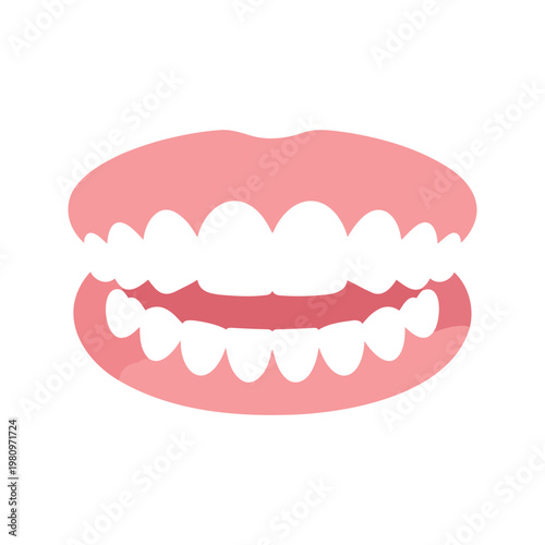 Illustration shows a set of false teeth, which replaces missing natural teeth and surrounding tissues for function and aesthetics purposes.