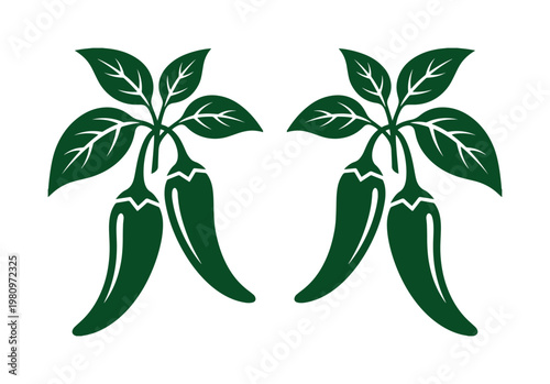 Green chili pepper vector illustration, two spicy hot peppers with leaves, a vibrant food ingredient graphic element, ideal for culinary design and restaurant branding.