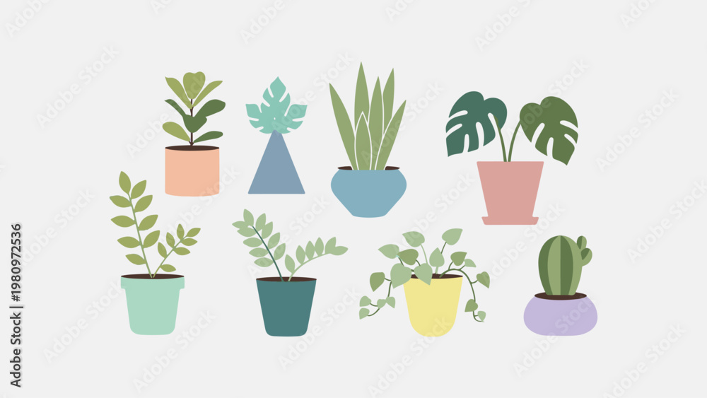 Fototapeta premium Potted plants on a clean background from Pexels