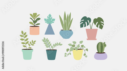 Potted plants on a clean background from Pexels