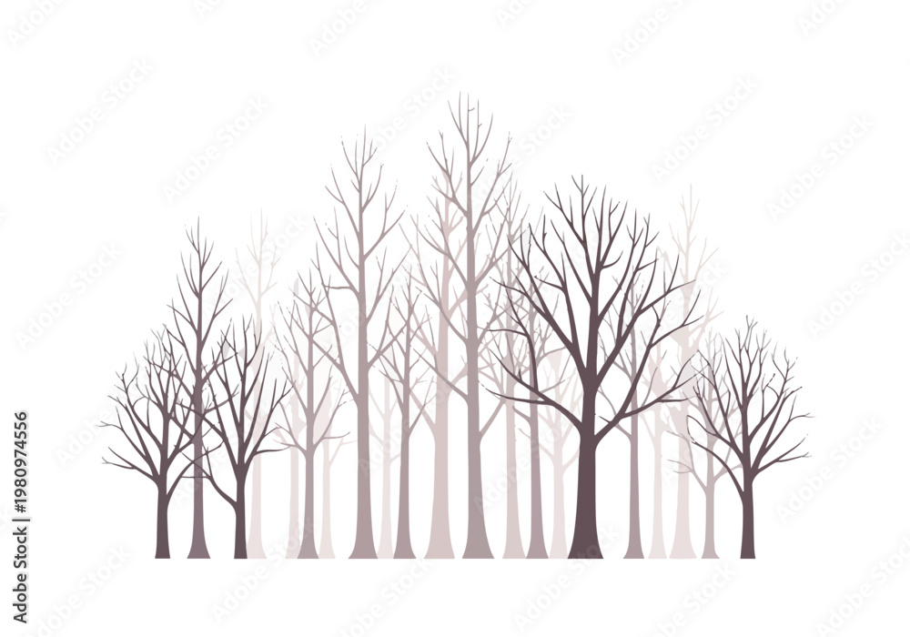 Obraz premium Bare Tree Silhouettes Against a White Background.