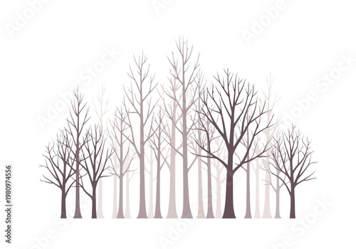 Bare Tree Silhouettes Against a White Background.