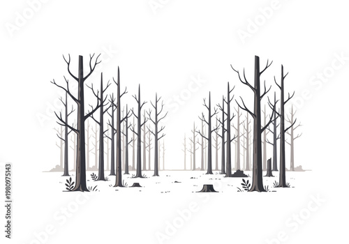 Bare Trees in a Stark Forest Landscape.