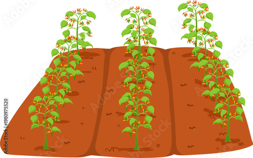 Gardening or Farm Plant Bed, Vegetable Nursery Bed Illustration