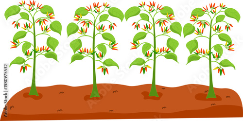 Gardening or Farm Plant Bed, Vegetable Nursery Bed Illustration