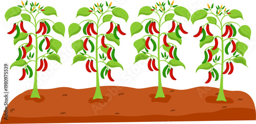 Gardening or Farm Plant Bed, Vegetable Nursery Bed Illustration