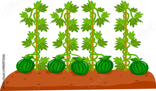 Gardening or Farm Plant Bed, Vegetable Nursery Bed Illustration