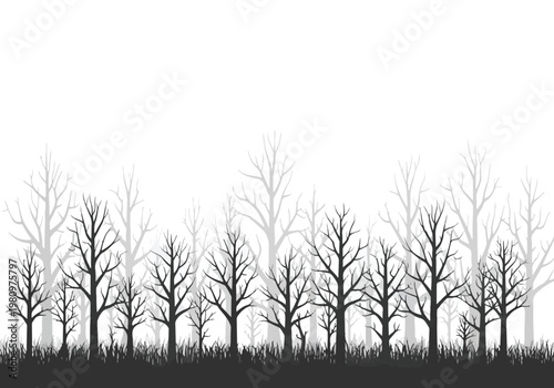 Silhouetted Bare Trees in a Grassy Field.