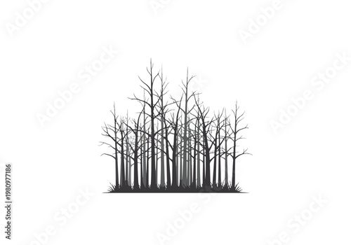 Silhouette of a Dense Forest of Bare Trees.