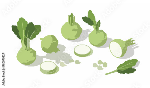 Hand drawn kohlrabi vegetable vector set with sliced bulb and leafy stems in natural sketch style