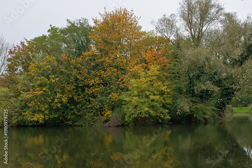 colorful autumn trees reflecting in the water of a pool in the wetlands of Bourgoyen nature reserve, Ghent, Flanders, Belgium 
