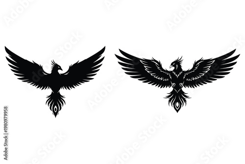 Two intricate phoenix designs a symbol of rebirth and transformation in black and white