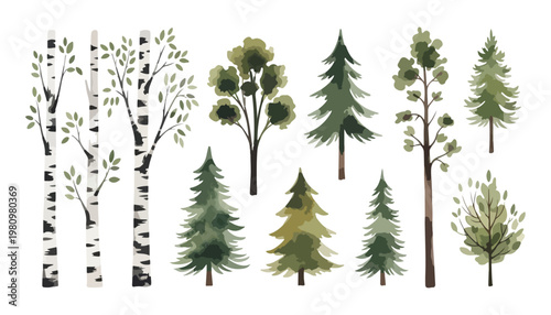 Modern Cactus Succulent Plant Set Minimal Botanical Vector Collection